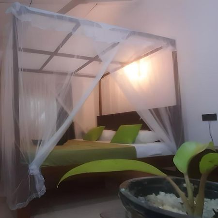 Dickwella Green Villa Dış mekan fotoğraf