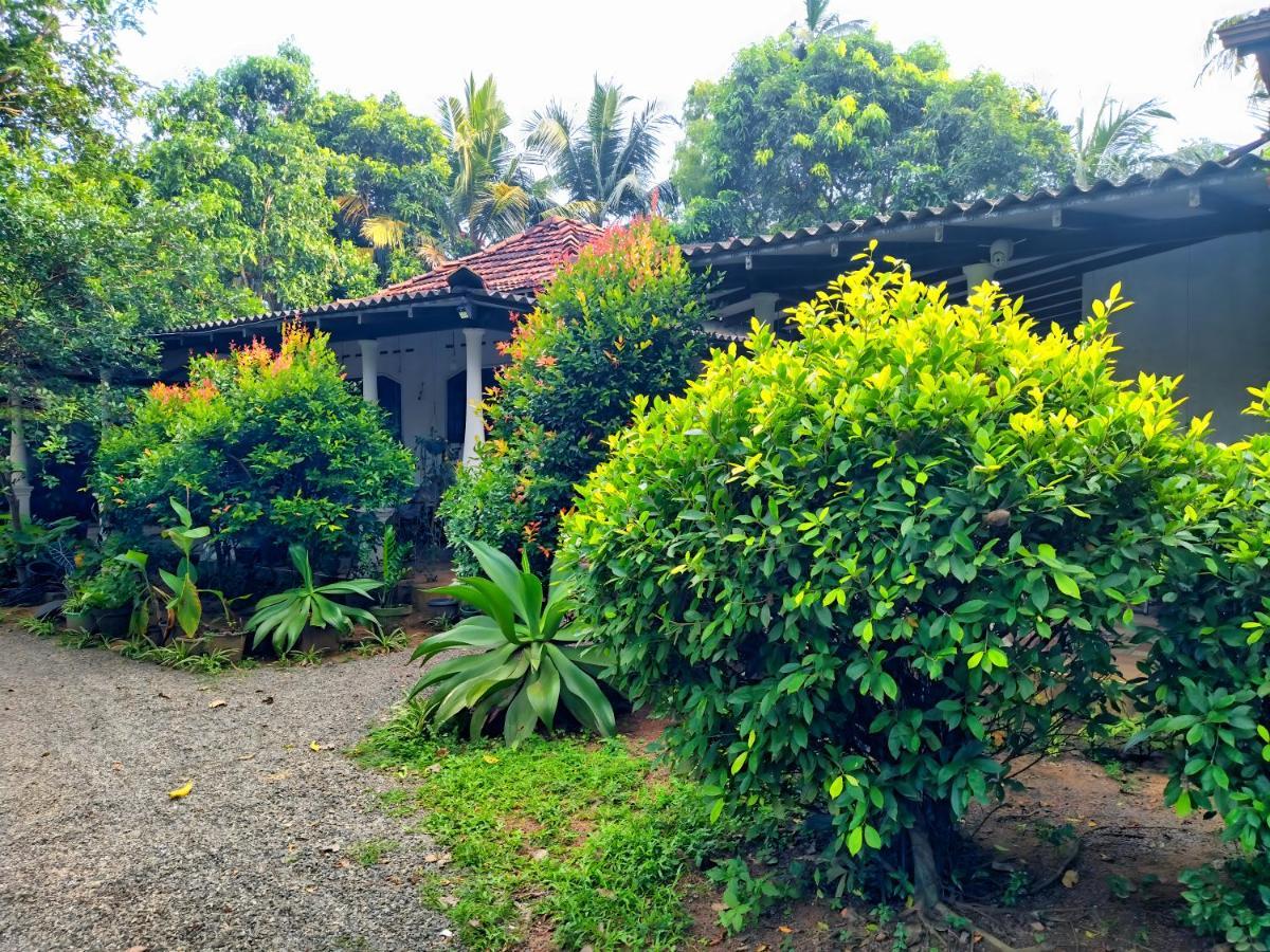 Dickwella Green Villa Dış mekan fotoğraf
